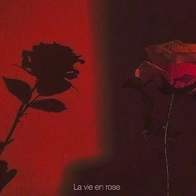 Profile image of 서라더