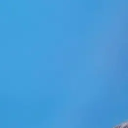 Profile image of 한지성