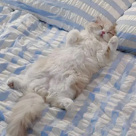 derrick_0_0의 포세이큰