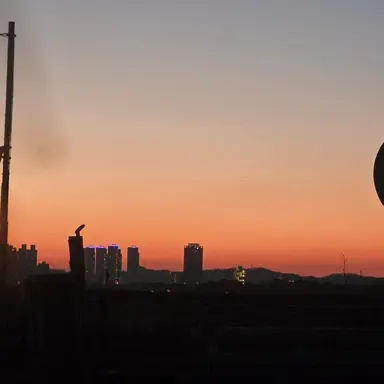 Profile image of 평학