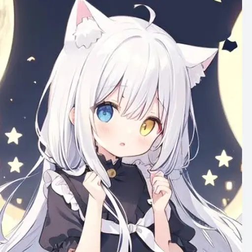 NeatNiece9157의 心美