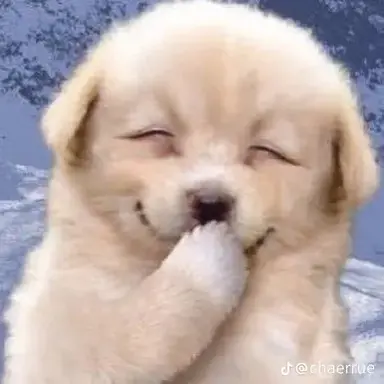 Profile image of 조아해