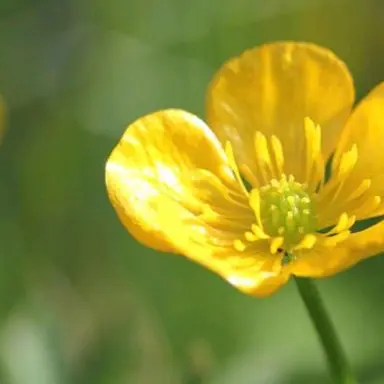 Profile image of 정형준