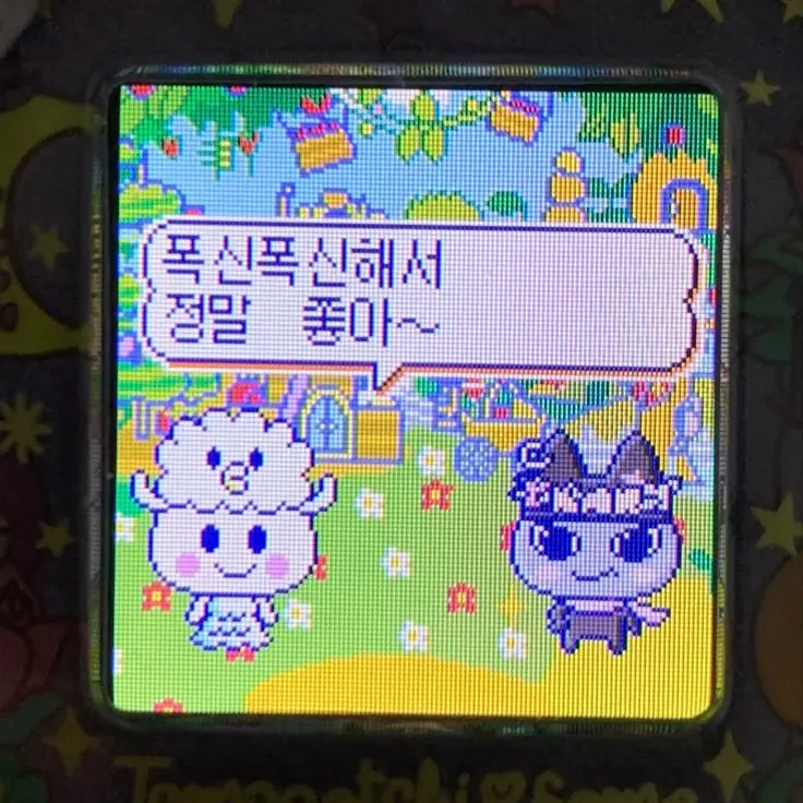 Lxxee의 、、