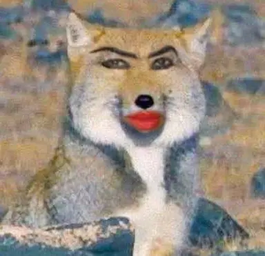 Profile image of 늑데