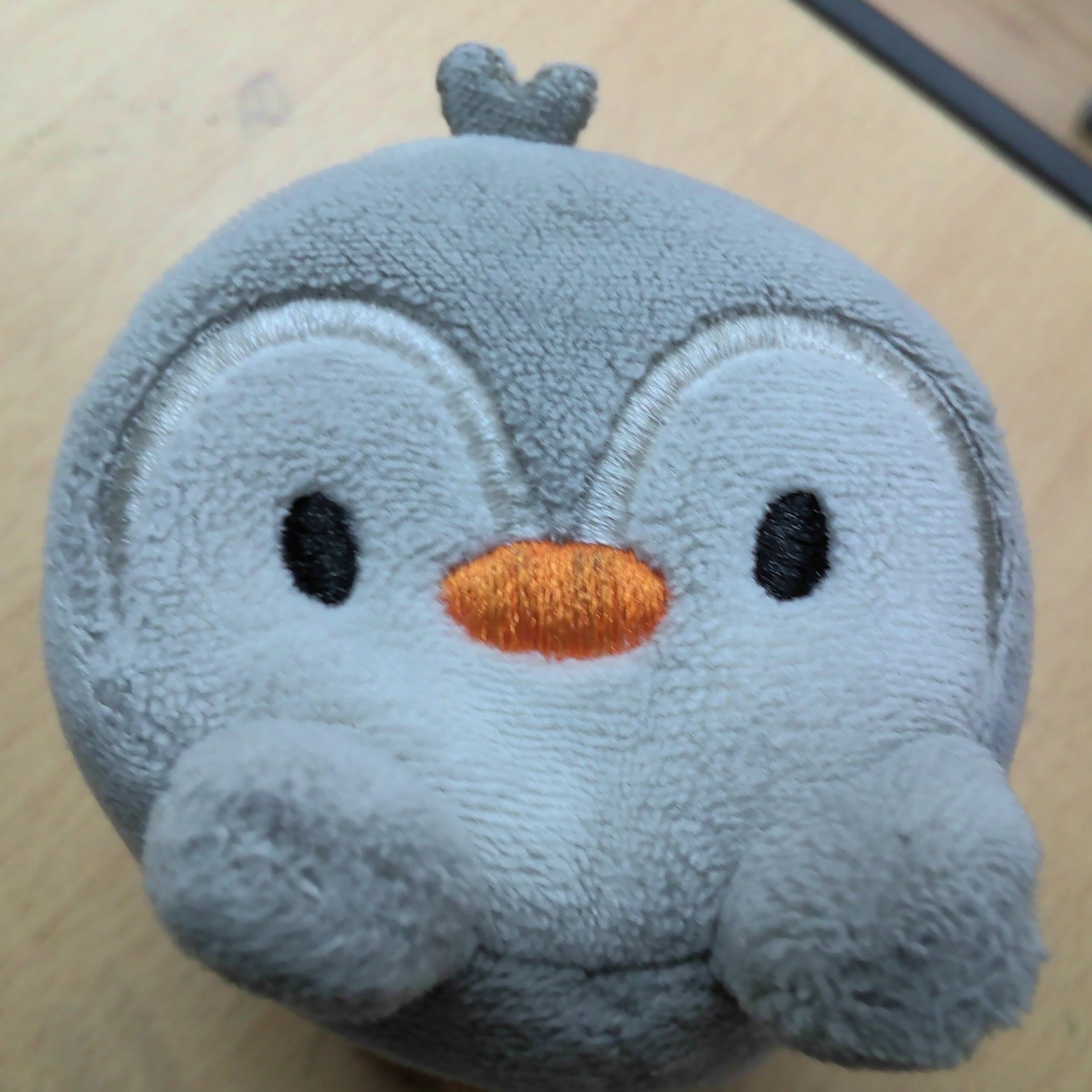 김팽팽