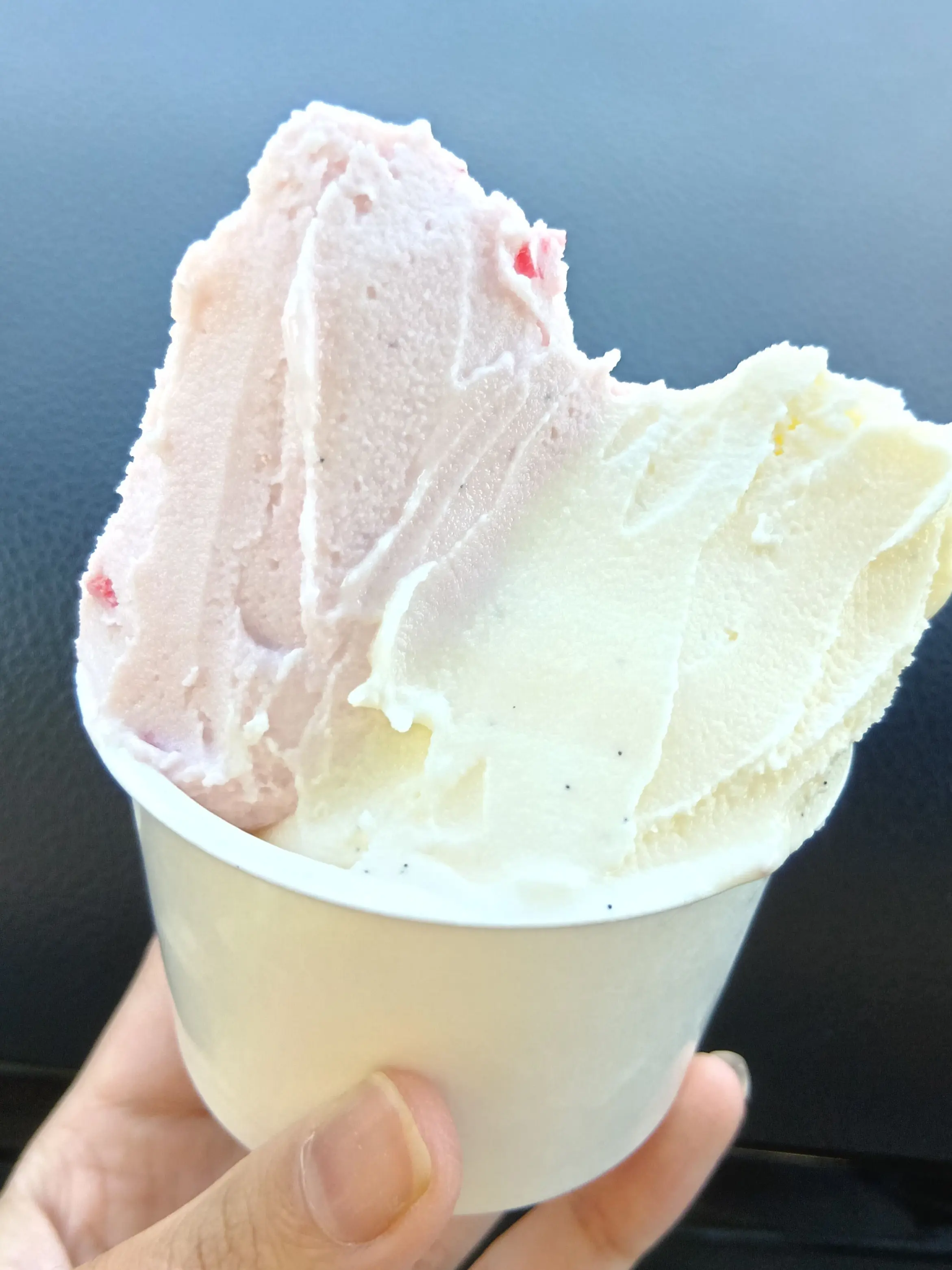 GummyPiano6286의 陸の世話をめっちゃする家族