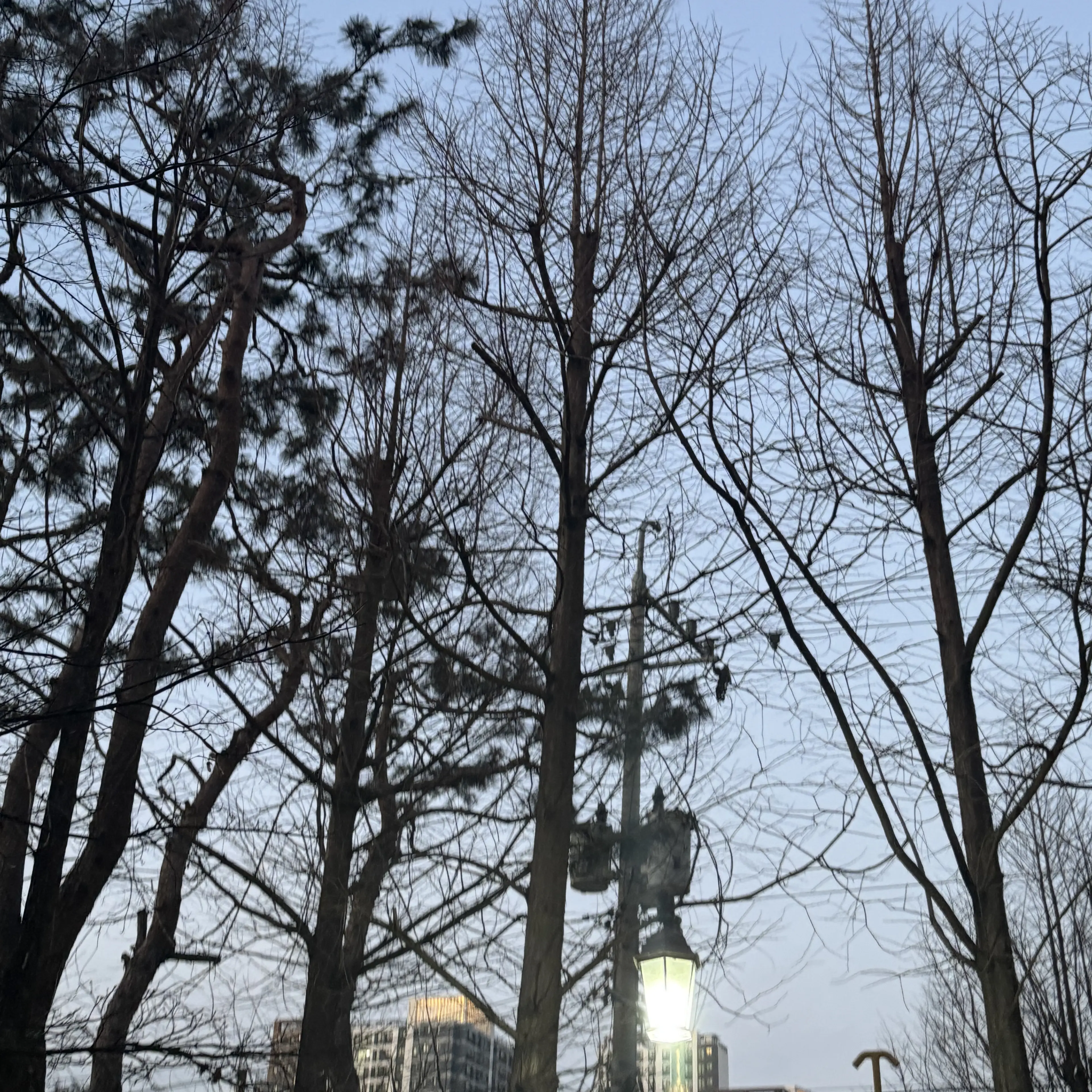 HungryCrumb3906의 최빠방