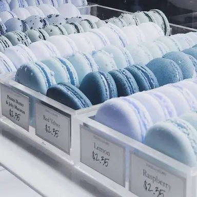 Profile image of 타코