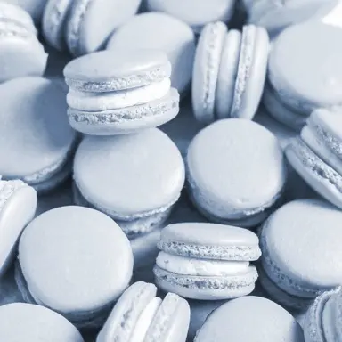 Profile image of 곰숭