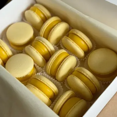 Profile image of 꽥