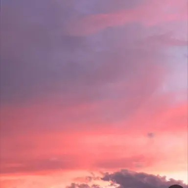 Profile image of 멜로우