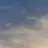병원 친구들 소개