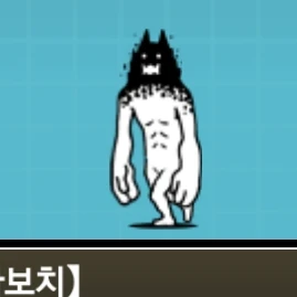 꼬맹이고양이다라보치