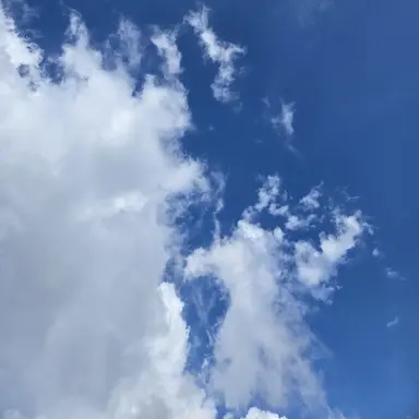 Profile image of 도하