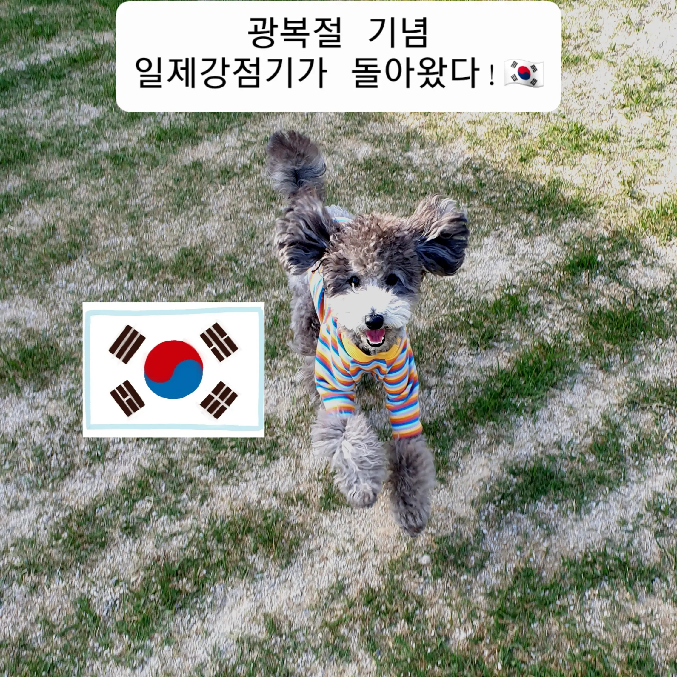 FutureScale2220의 일제강점기 독립 운동가 후추