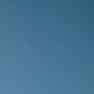 최연준