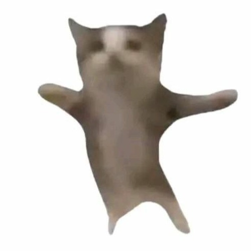 HAPP캣 대표 이미지