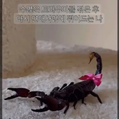 Profile image of 거대전갈