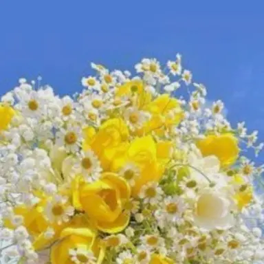 Profile image of 모양몬