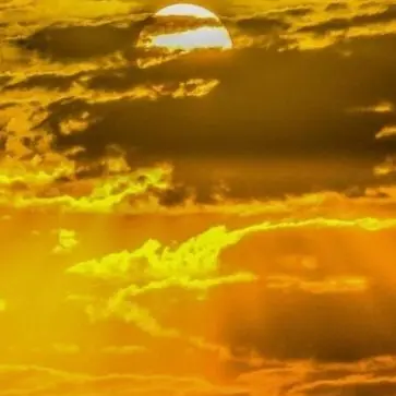 Profile image of 이여우