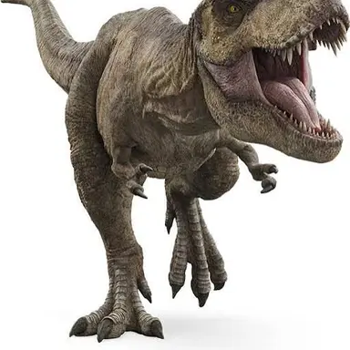 Profile image of 렉시