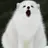 코티