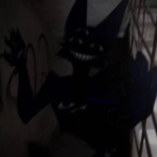 shadow hoshi