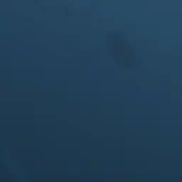 Profile image of 칼리스토