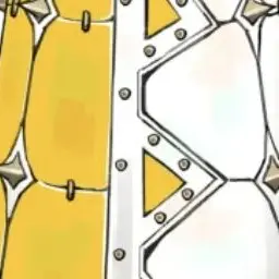 Profile image of 알비나