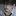 지현태