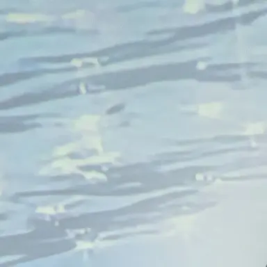 Profile image of 山中柔太朗