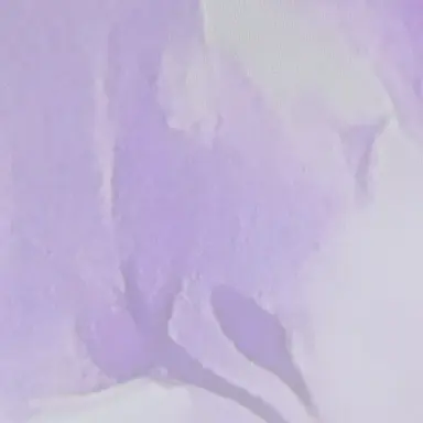 Profile image of 吉田徠香
