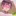 本田菊