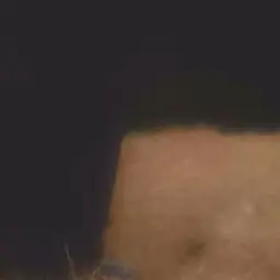 Profile image of 大森元貴