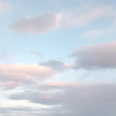 Profile image of 日本