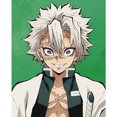 Profile image of 시나즈가와 사네미