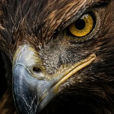 Profile image of 기간토