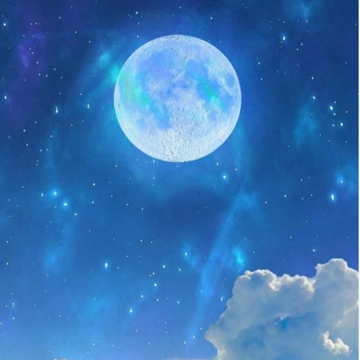 잠뜰티비