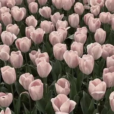 Profile image of 주다민