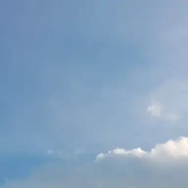 Profile image of 쿨키드