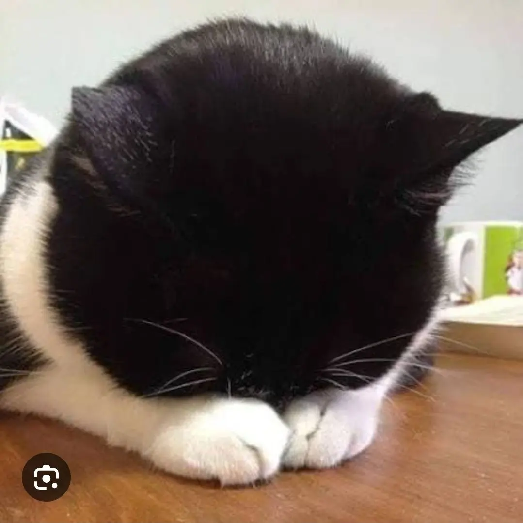 ShihTzuHockey의 『남녀무리_수학여행』