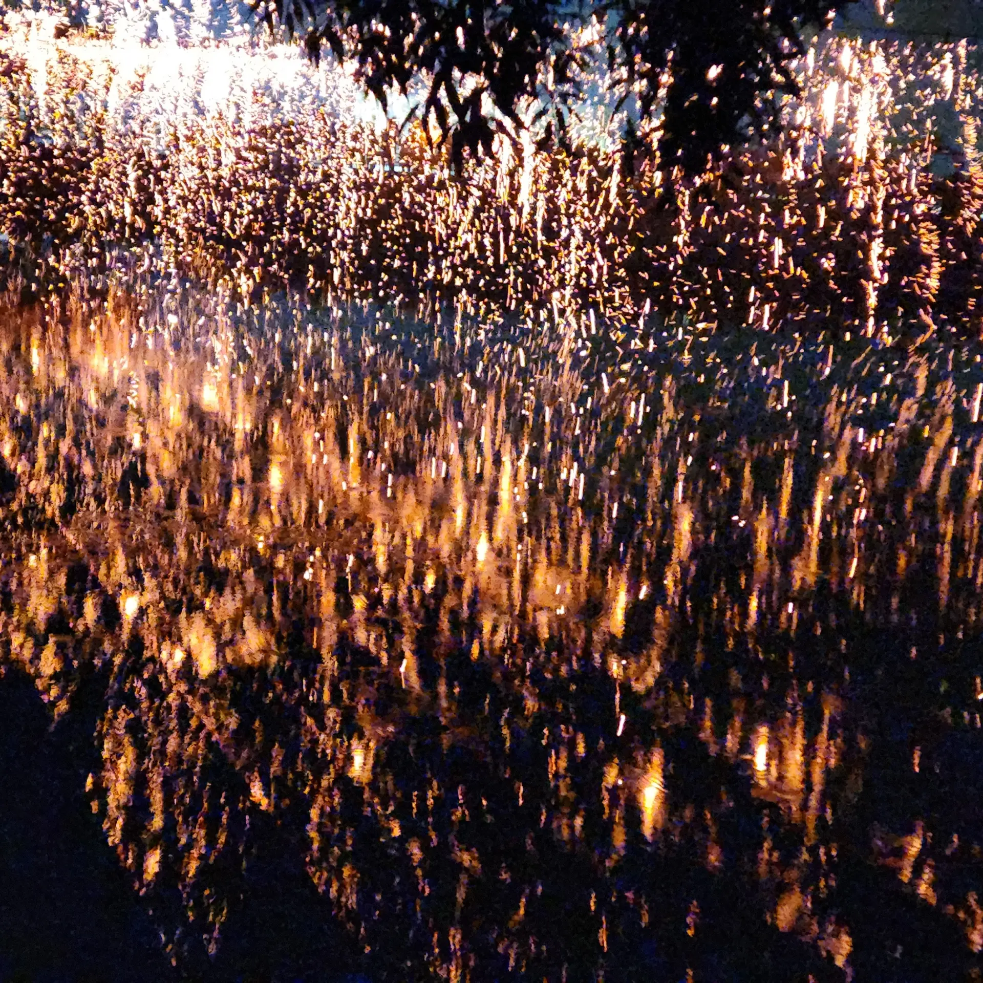 SquareState8903의 와르르 패밀리 학교!!