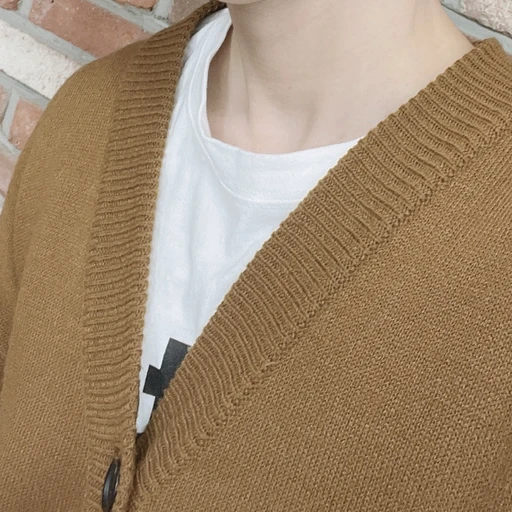 김동현