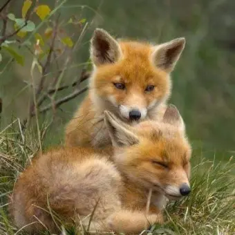 Profile image of 우유