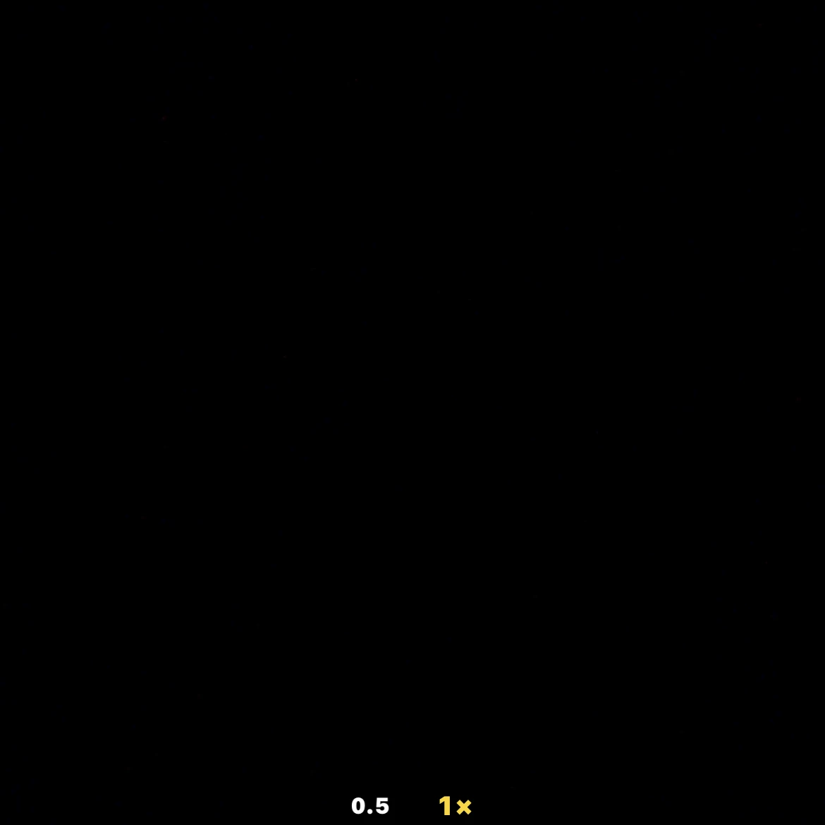 黒