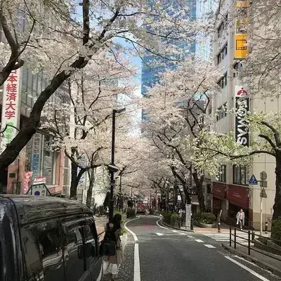 GiddyUncle3897의 Japan RPG