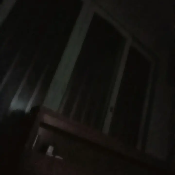 HomelyInk9686의 비스트 가족 남매들