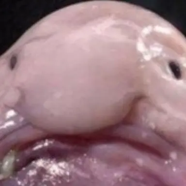 Profile image of 린