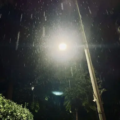 Profile image of 멤버